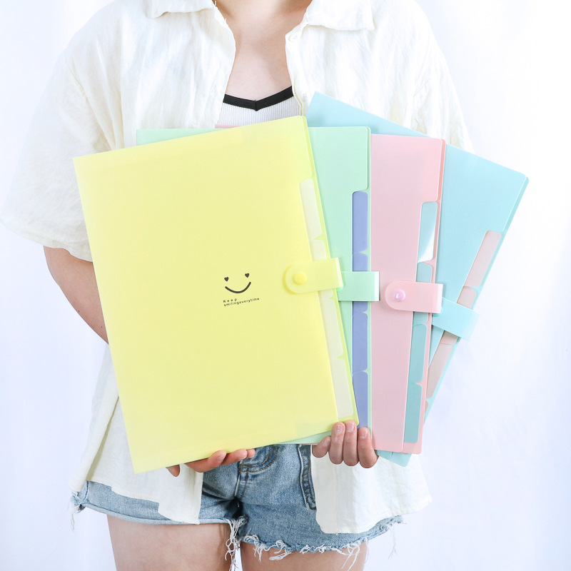 Document Organizer Folder - 한국산 5포켓 A4 확장 파일 정리함,
