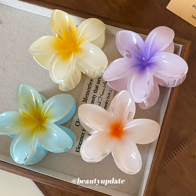 크리스탈 꽃 아크릴 머리 클로 클립 여성을위한 우아한  - Travel Accessories Hong Kong 리뷰 및 가격